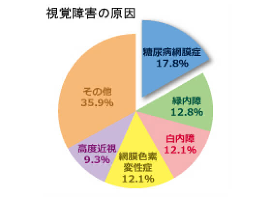 図「視覚障害の原因」