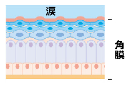 図「健康な目」